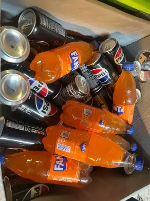variety sodas (cans & bottle)