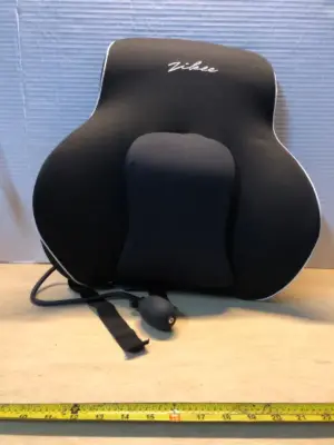 Back cushion with pump