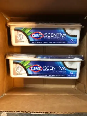 2 tubs 24 wet wipes each Clorox wet mopping cloths