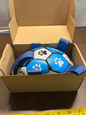 dog toy