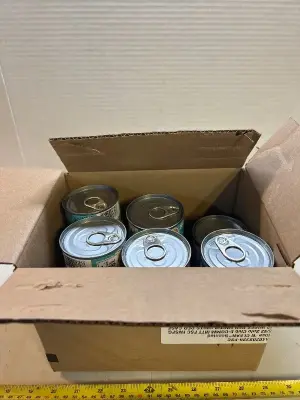 23 cans cat food in date
