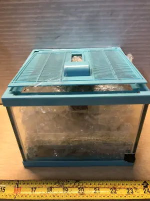 Square aquarium with accessories