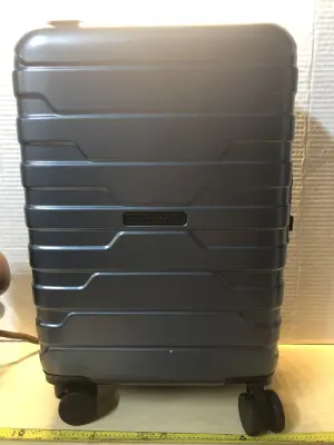 BagSmart luggage on wheels