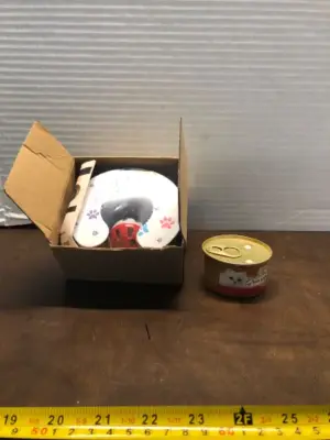 Cat toy and 1 wet food