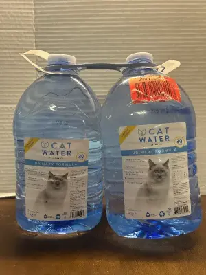 2ct 4 L cat water