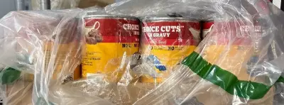 12pk pedigree beef wet dog food exp:10/27