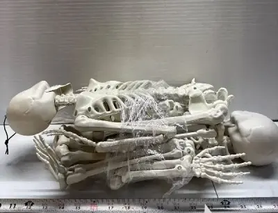 (2) 36” skeletons