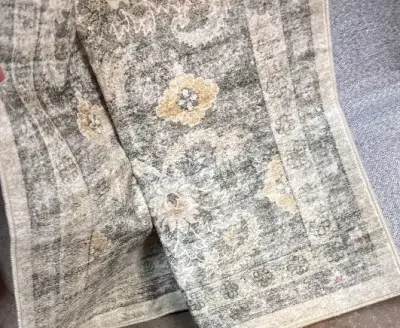 Large area rug (unknown size)