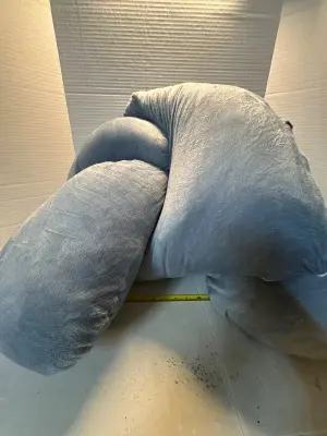 Pregnancy pillow