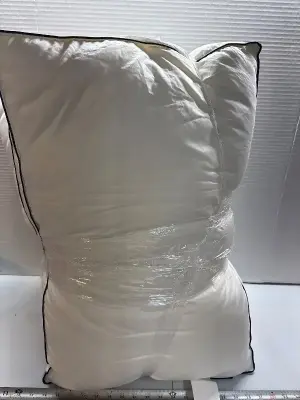 2 feather down pillows