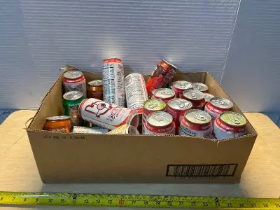 Bang( 06/26/26)and assorted sodas