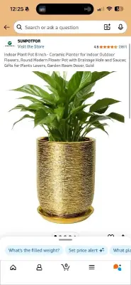 8” plant pot
