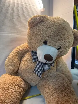 Giant teddy bear
