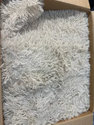 Area rug (unknown size)