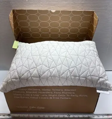 Small coop home goods pillow