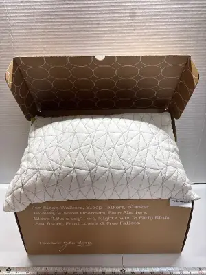Small coop home goods pillow