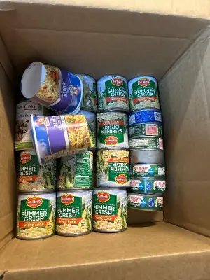 Box of canned food (Indate)