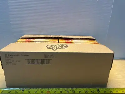 Box of butterscotch pudding (01/16/26)