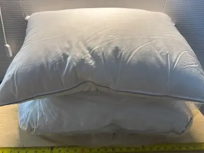 Pillows (2)