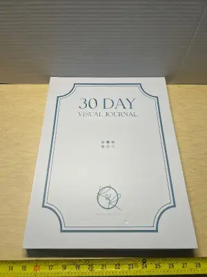 30 day visual journal