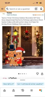 Outdoor Christmas decoration