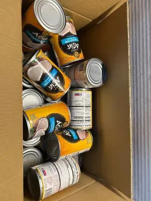 Box of canned coconut milk (04/2026)