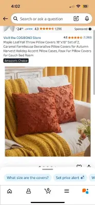 Pillow covers (4)