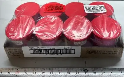 8pk cream cheese icing exp:06/26