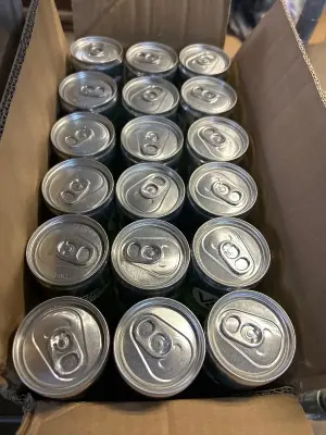 18 Ct v8 energy watermelon guava 02/12/26