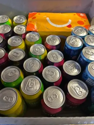 10 breezeberry 10/27, black cherry sugar free 08/26 lemon lime 04/27 8 cans of mango bubly