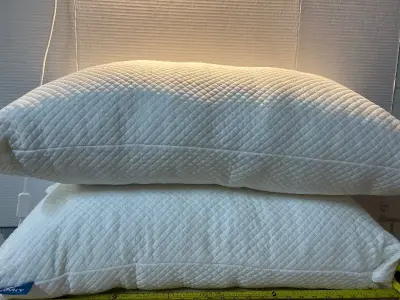 Cooling gel pillows (2)