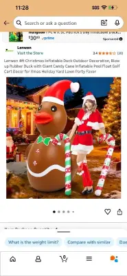 inflatable duck decoration
