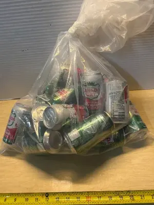 Canada Dry fruit splash drinks