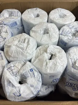 20pk Scott toilet paper
