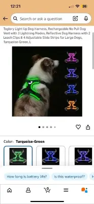 Light up dog  harness (L) and pet urn