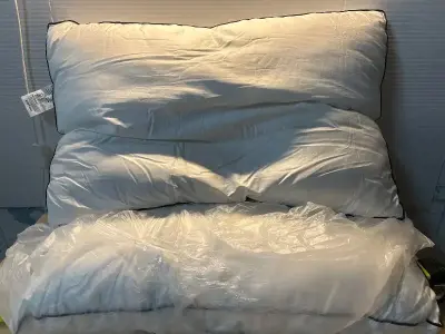 Down Feather pillows (2)
