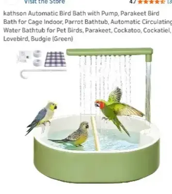 Automatic bird bath
