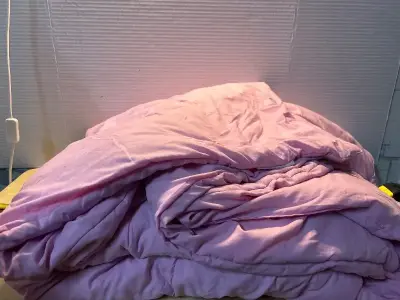 Queen comforter with pillows (2)