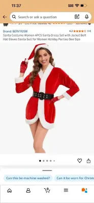 womens santa costume unknown size