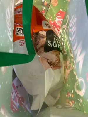 100% natural worlds best cat litter