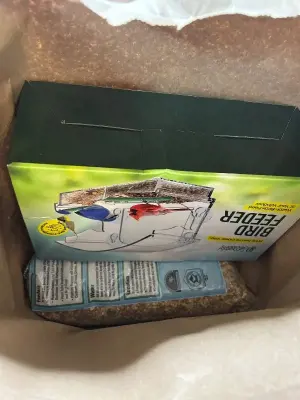 bird seed and bird feeder