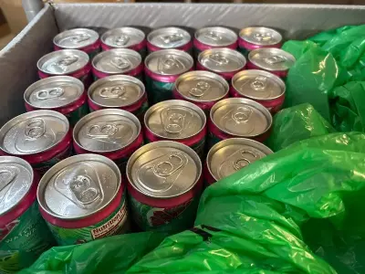 22ct watermelon wave alani exp:09/27