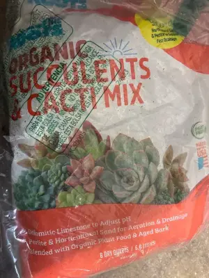 12qt succulent & cactus mix