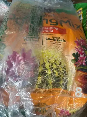 8qt cactus potting mix