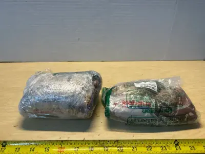 Brown whole grain rice (2)(10/2027) (hole in bag)