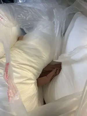 pregnancy pillow and cover