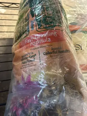 catcus. citrus and palm potting mix