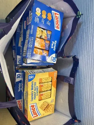 Bag of peanut butter crackers (120ct) (01/24/26)