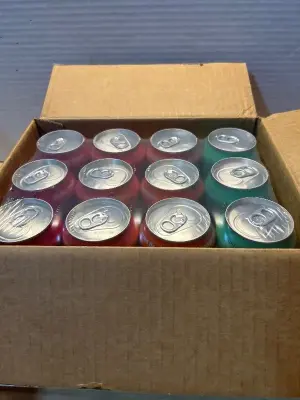 Spindrift sodas (12ct)(03/14/26)