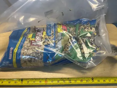 Songbird blend seed mix